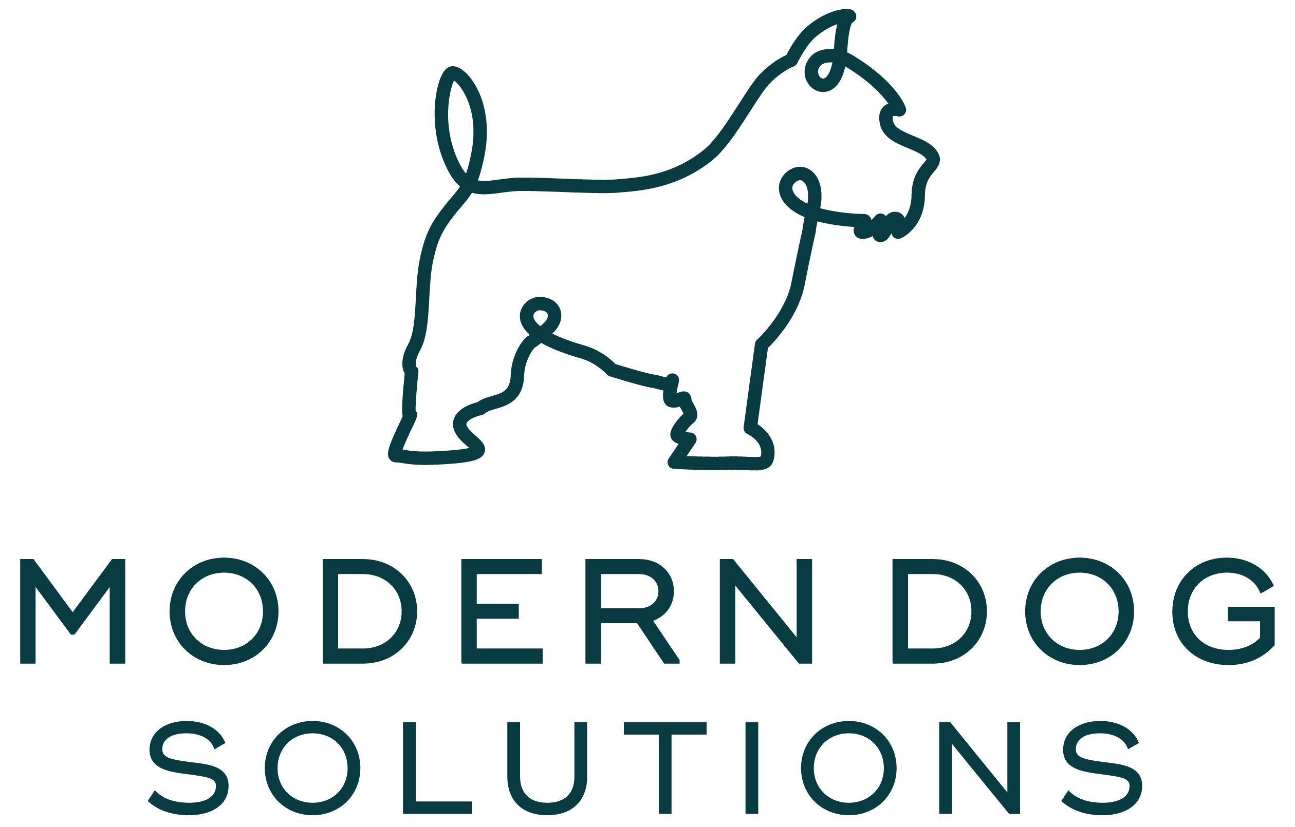 Modern Dog Solutions